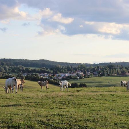 Ctyri Pokoje Tachov  Buitenkant foto