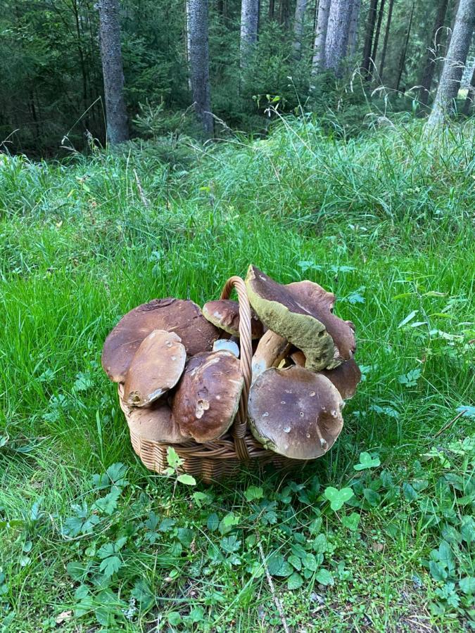 Ctyri Pokoje Tachov  Buitenkant foto