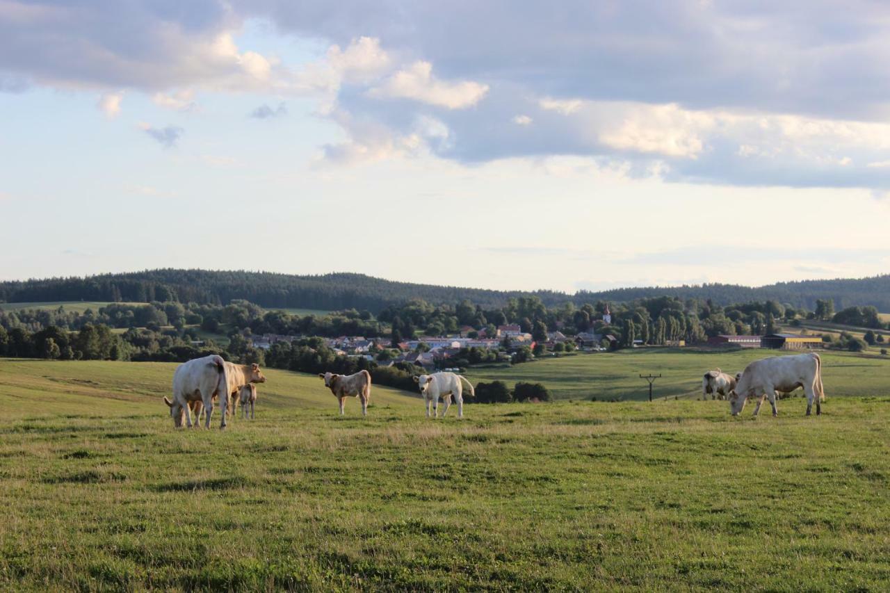 Ctyri Pokoje Tachov  Buitenkant foto